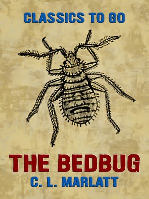 cover image of The Bedbug